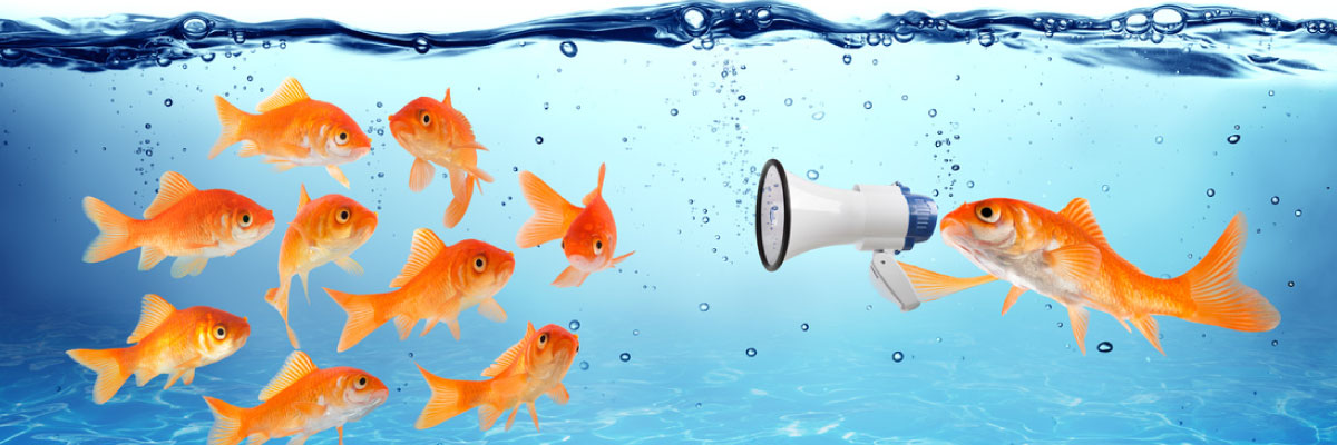 Le plan de communication d'un projet DMAIC Le plan de communication d'un projet DMAIC