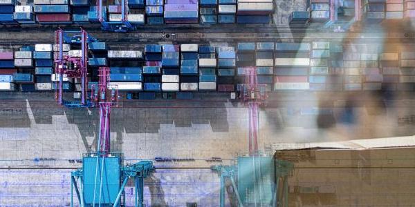 A la recherche d'une Supply Chain robuste